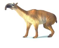 geology-12
